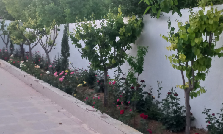 اجاره ویلا باغ snow white
