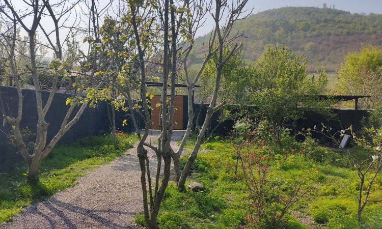 اجاره کلبه دوبلکس چوبی شیشه ای مدرن بلور