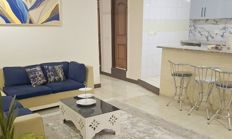 اجاره آپارتمان دو خوابه رویال جنوب