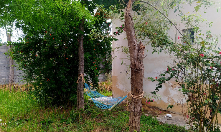 اجاره باغ ویلا تک خواب دربستی نزدیک رشت