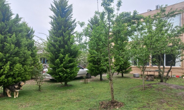 استئجار Duplex Villa خمسة سرير شيخ