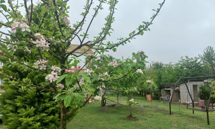استئجار Duplex Villa خمسة سرير شيخ
