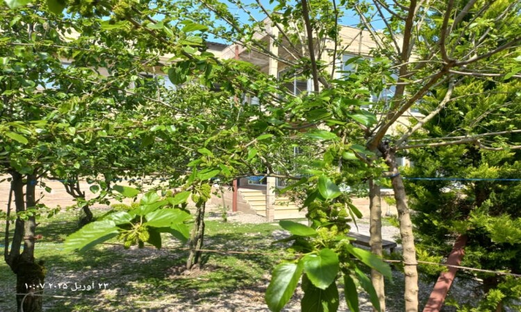 استئجار Duplex Villa خمسة سرير شيخ