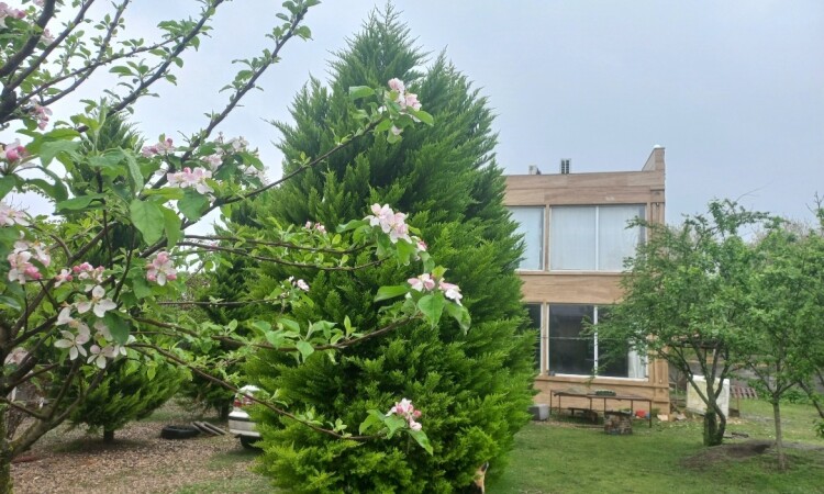 استئجار Duplex Villa خمسة سرير شيخ