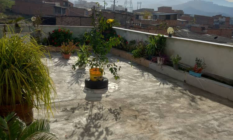 اجاره سوئیت نقلی علی