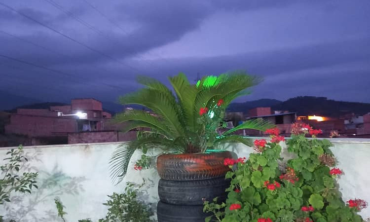 اجاره سوئیت نقلی علی