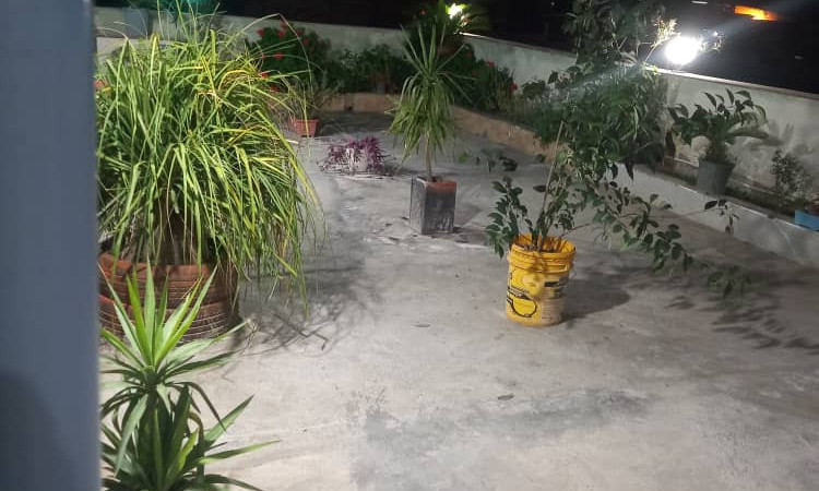 اجاره سوئیت نقلی علی