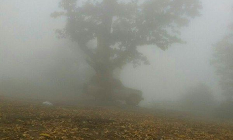 رزرو بوم گردی چشمه مراد