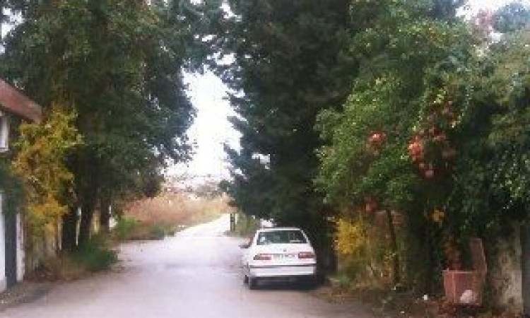 اجاره ویلاتکخوابه همکف