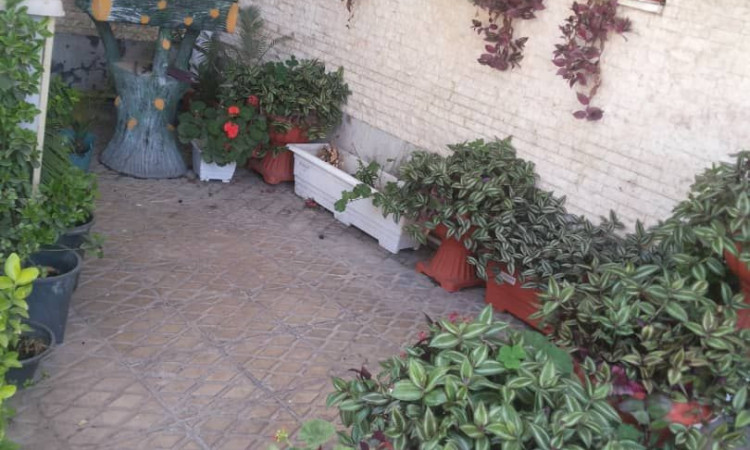 اجاره ویلاتکخوابه همکف