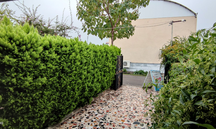 اجاره ویلاتکخوابه همکف