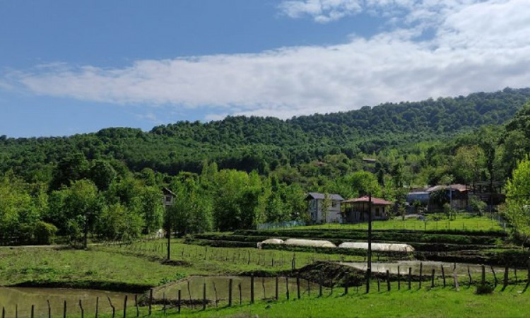 ویلا دربست مسیر ییلاقی