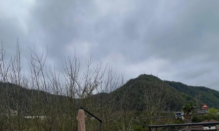 اجاره کلبه دوبلکس سوئدی جاسمین