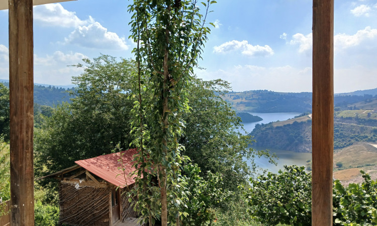 اجاره کلبه رویایی برادران حسینی