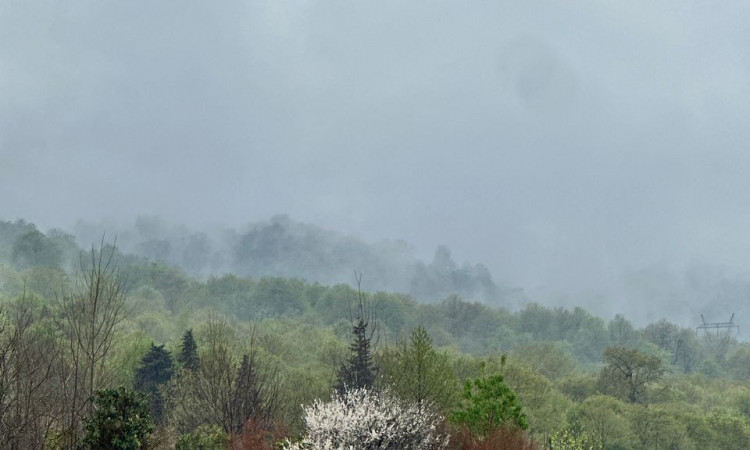 اجاره کلبه سوئیسی مآسو فولادکلا