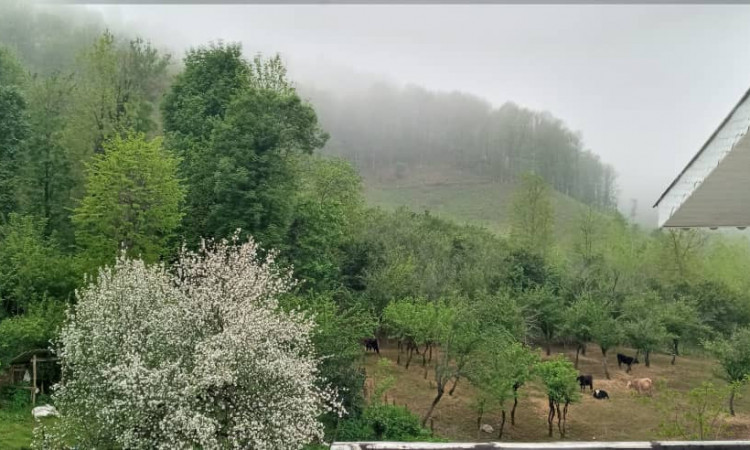 اجاره ویلا دو خواب تنیان