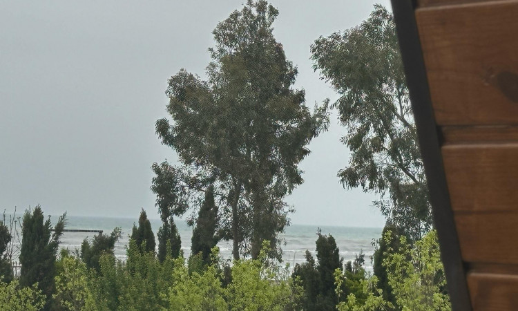 اجاره کلبه سوئیسی تک خواب عشق