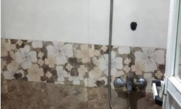 اجاره کلبه سنتی جنگلی شمشاد