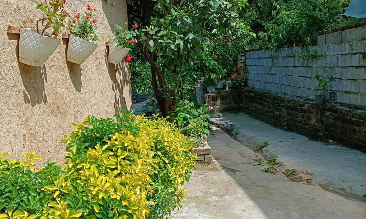 اجاره کلبه سنتی جنگلی شمشاد