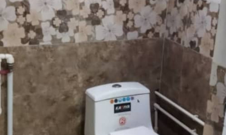 اجاره کلبه سنتی جنگلی شمشاد