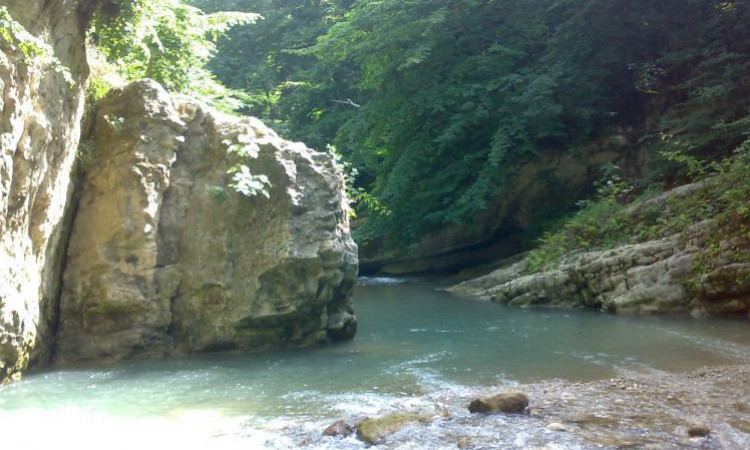 اجاره ویلا جنگلی( بلیران)