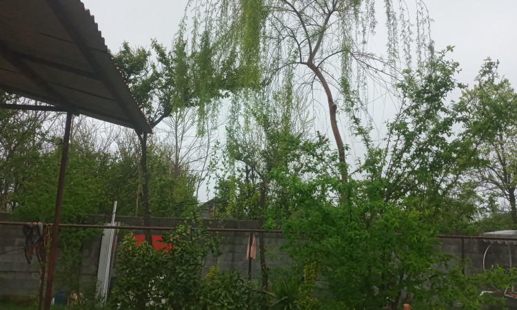 اجاره آپارتمان دو خوابه ساحلی گوزل پآپآ