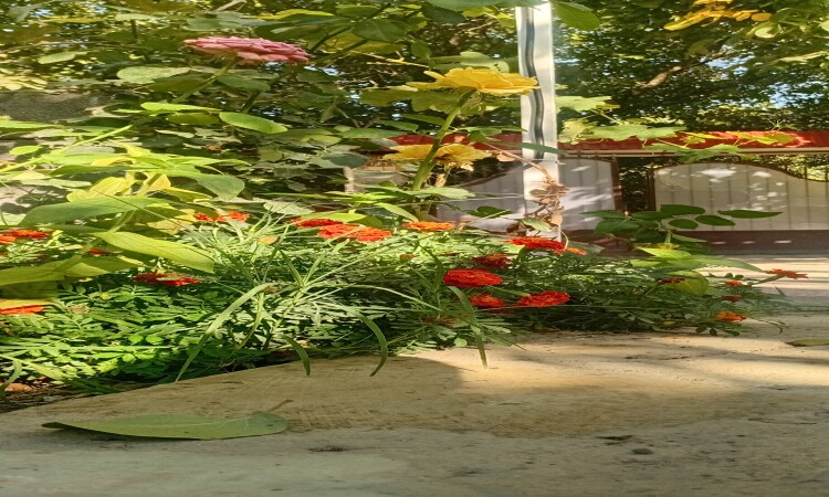 اجاره سوئیت باغ سنندج