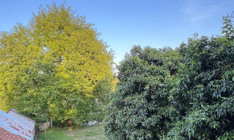 اجاره ویلا سه خوابه همایونی