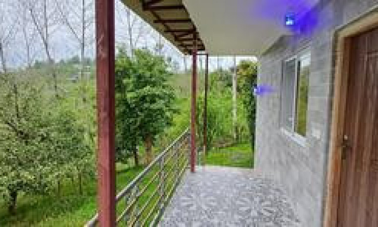 اجاره سوئیت جنگلی نارنج