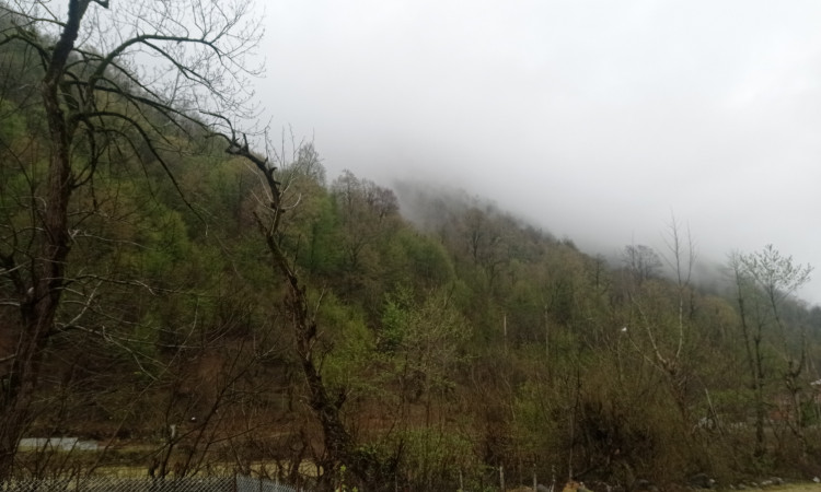اجاره کلبه سوئیسی دوبلکس گیجاب