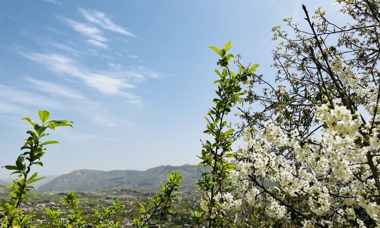 اجاره کلبه شیشه ای لونا