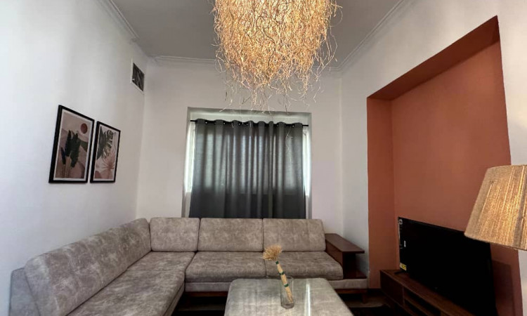 اجاره آپارتمان یک خوابه 65 متری
