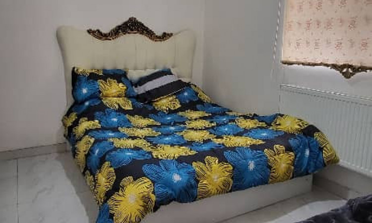اجاره آپارتمان تک خواب لاهیجان