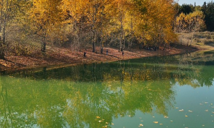 اجاره کلبه سوئیسی مآسو فولادکلا 3
