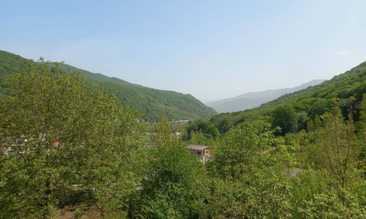 اجاره کلبه سوئیسی سوادکوه