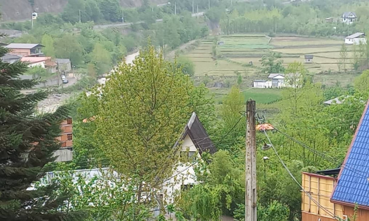 اجاره کلبه سوئیسی سوادکوه