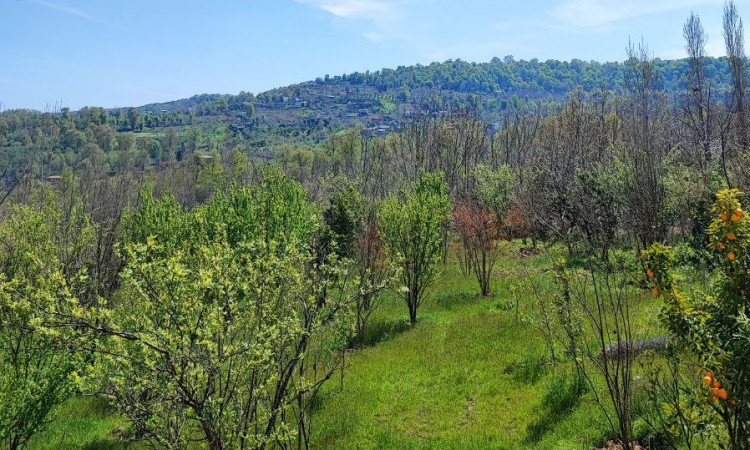 اجاره کلبه دوبلکس سوئیسی نیکان
