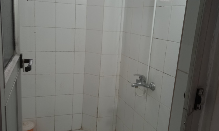اجاره آپارتمان سرسبز مهر
