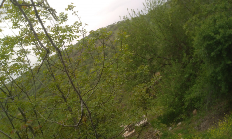 اجاره خونه سنتی در ابشار بیشه
