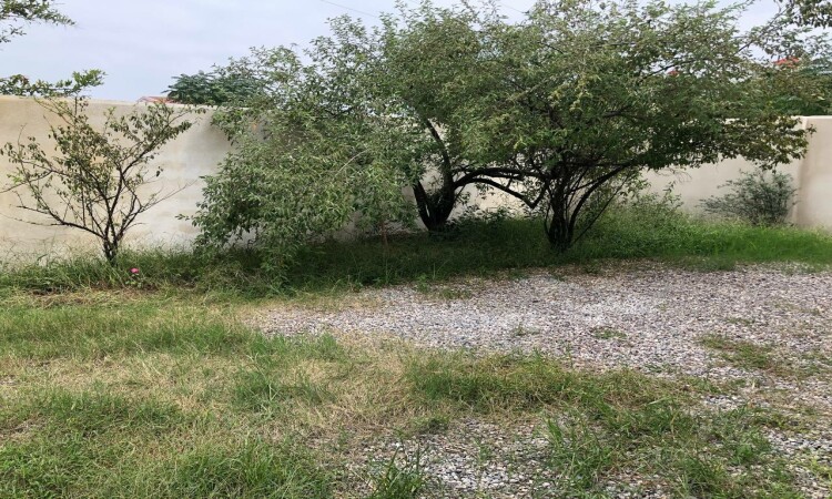 استئجار فيلا اثنين من الغرفة