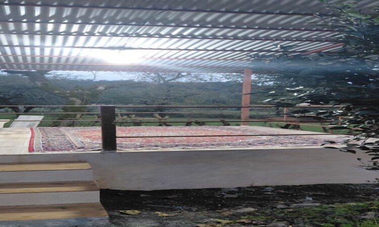 اجاره کلبه چوبی دو خواب نارنج