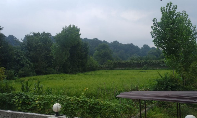 اجاره کلبه تک خواب رایکا 1