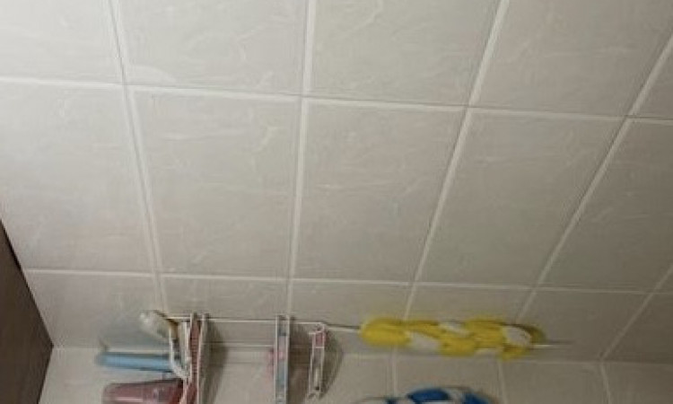 اجاره ویلای استخردار با لوکیشن عالی