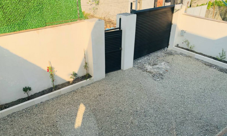 تأجير مجموعة من الممثل الوجه السويسري