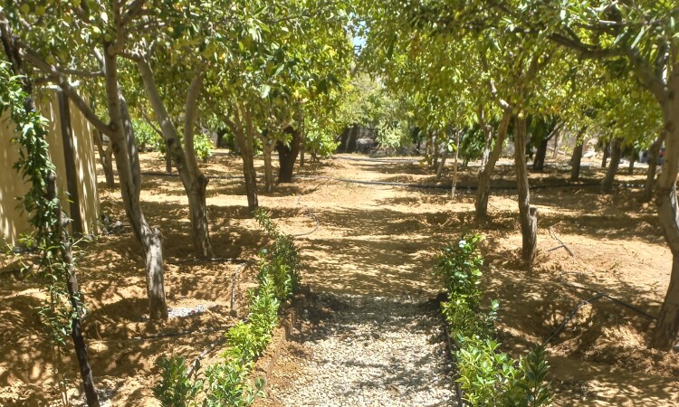 ليلي جاردن تأجير حديقة فيلا (حديقة ليلي)