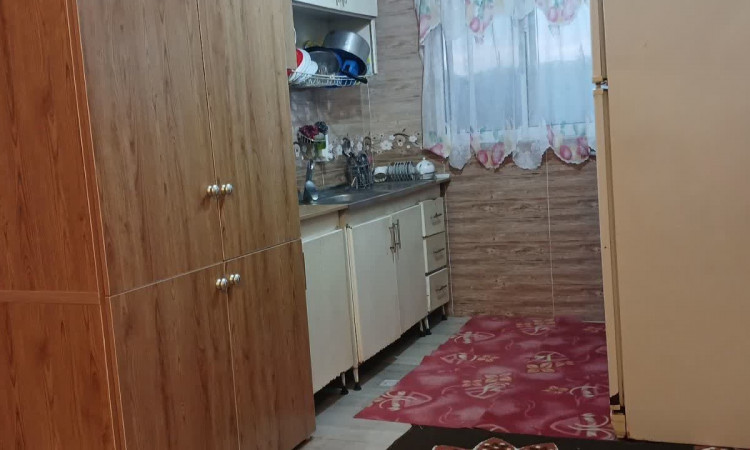 اجاره کلبه جنگلی روجین