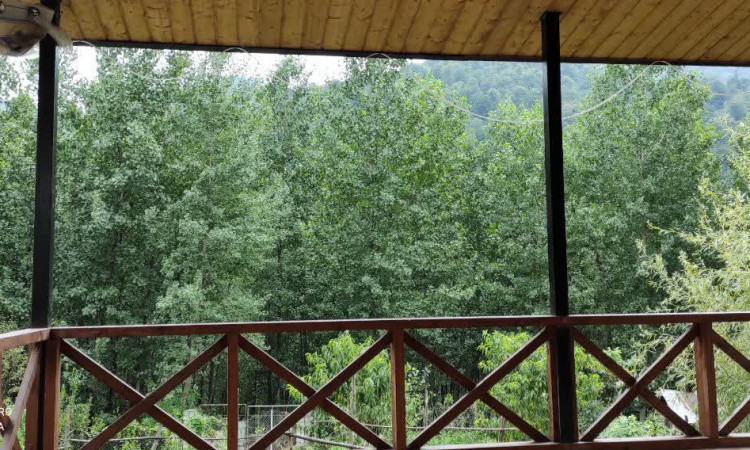 اجاره کلبه جنگلی روجین
