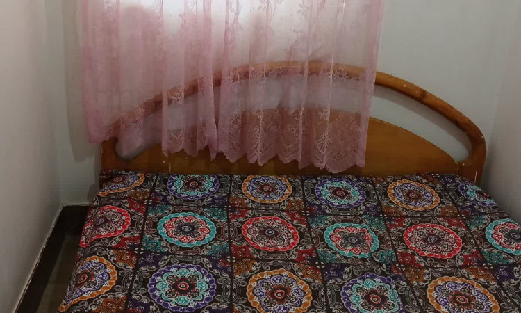 اجاره کلبه جنگلی روجین