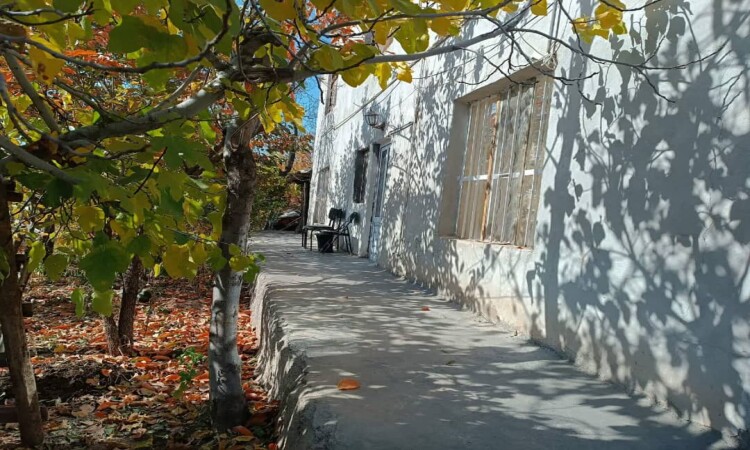 اجاره ویلا باغ زیبا