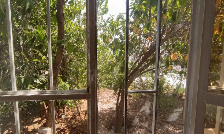 اجاره ویلا باغ زیبا